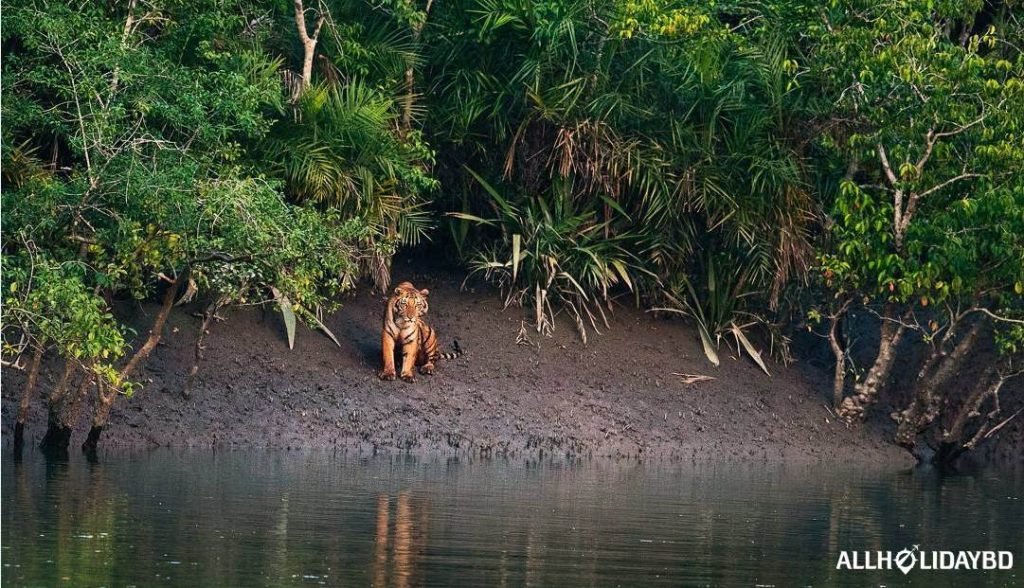 The Sundarbans