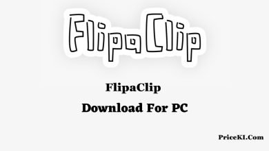 FlipaClip Download For PC