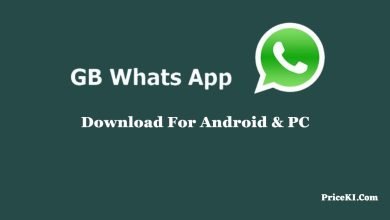 GBWhatsapp Apk Download for Android & PC